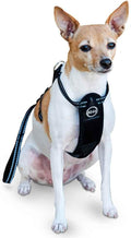 K&H Pet Products Travel Safety Pet Harness Large Black 20"-30"