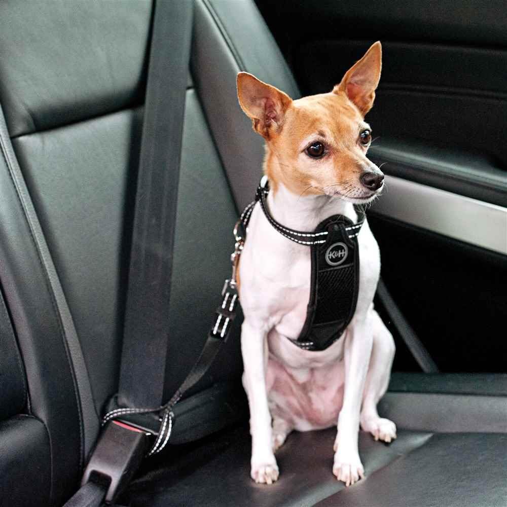 K&H Pet Products Travel Safety Pet Harness Large Black 20"-30"