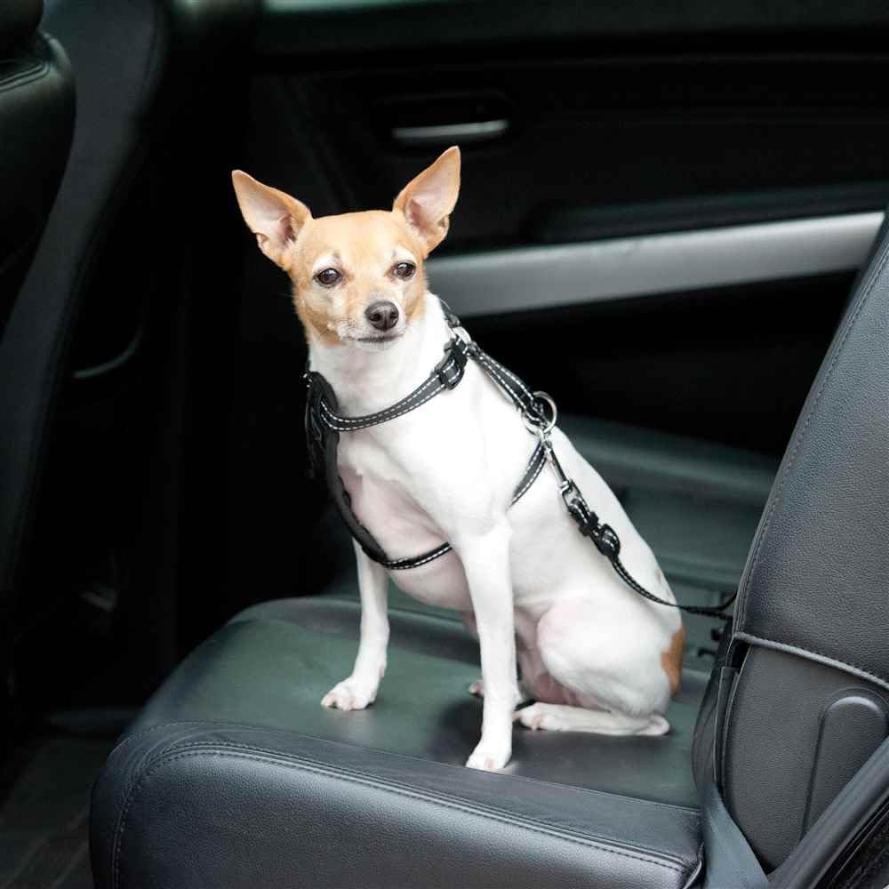 K&H Pet Products Travel Safety Pet Harness Large Black 20"-30"