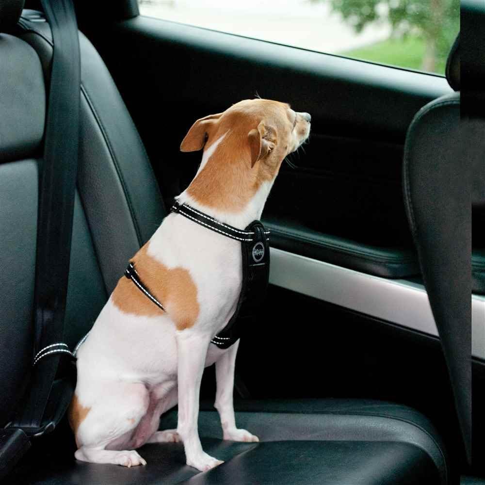 K&H Pet Products Travel Safety Pet Harness Large Black 20"-30"