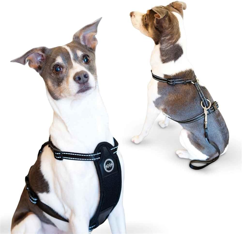 K&H Pet Products Travel Safety Pet Harness Large Black 20"-30"