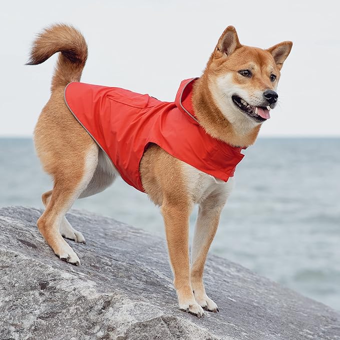KONG Packable Rain Jacket for Dogs – Medium – Red
