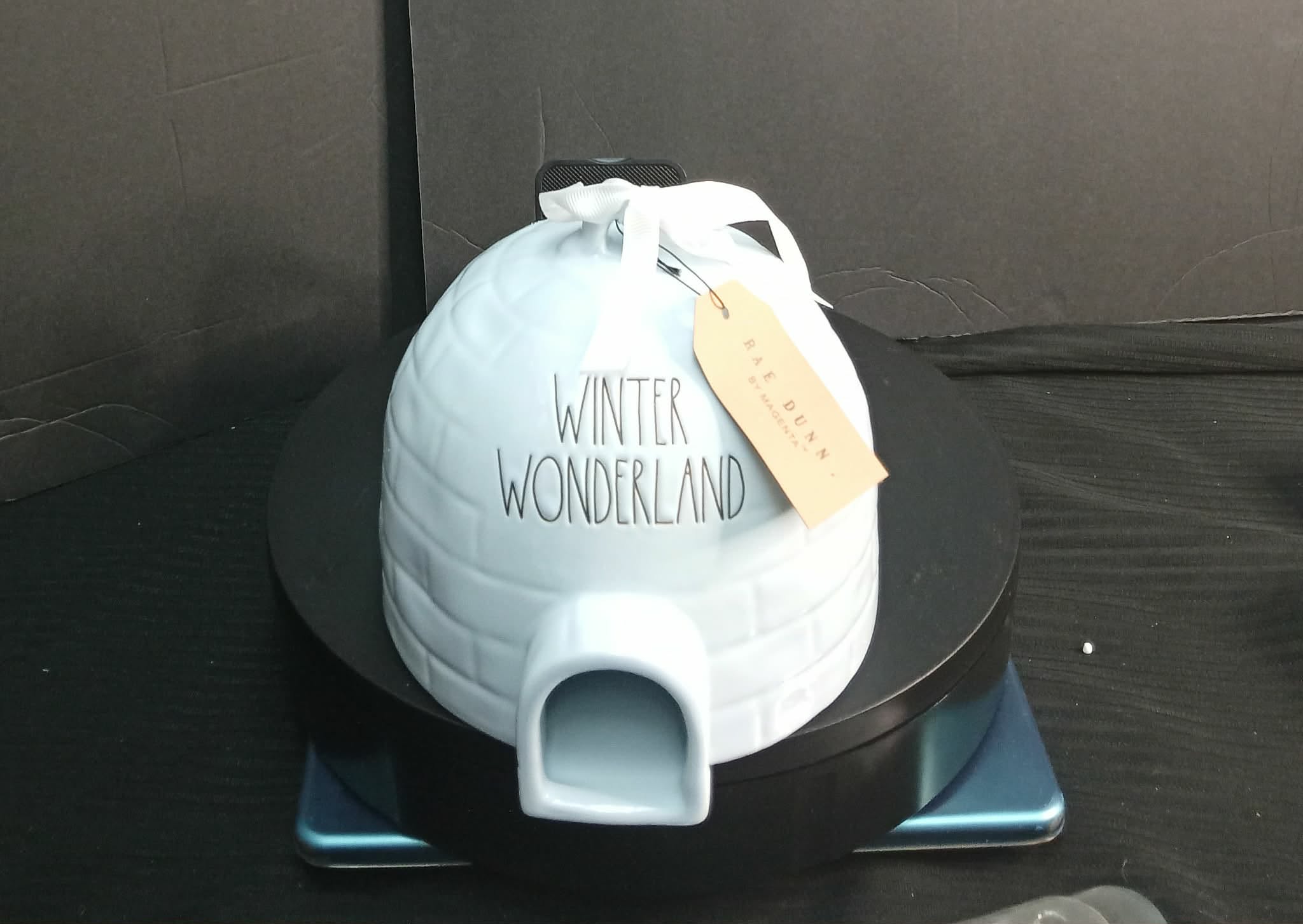 Rae Dunn “WINTER WONDERLAND” Igloo Ceramic Canister – Holiday Décor