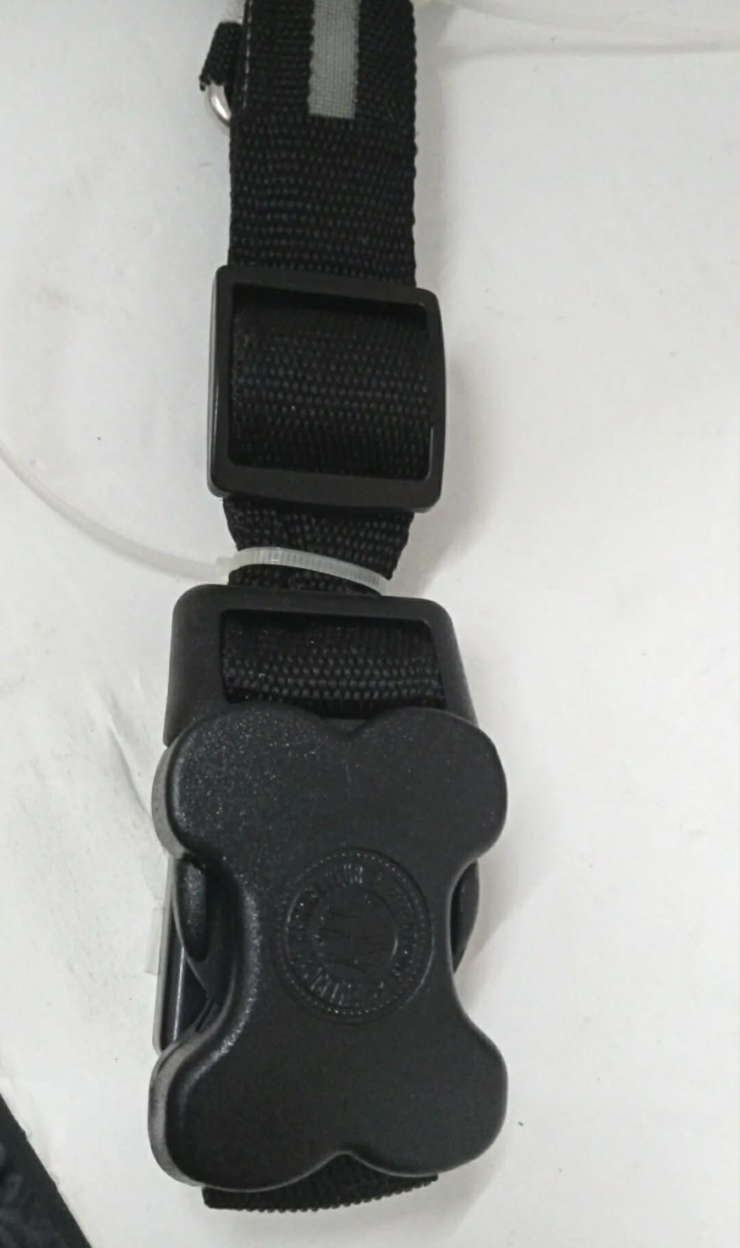 2-Pack AKC LED Flashing Dog Collars Light Up Adjustable Nylon Safety New SIZE MED