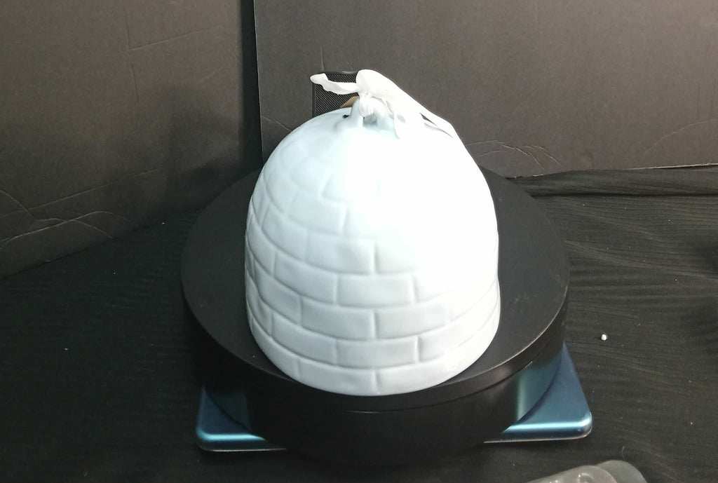 Rae Dunn “WINTER WONDERLAND” Igloo Ceramic Canister – Holiday Décor